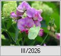 3. Quartal 2026