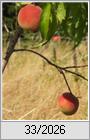 Gegens�tze