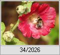 Zuverl�ssig